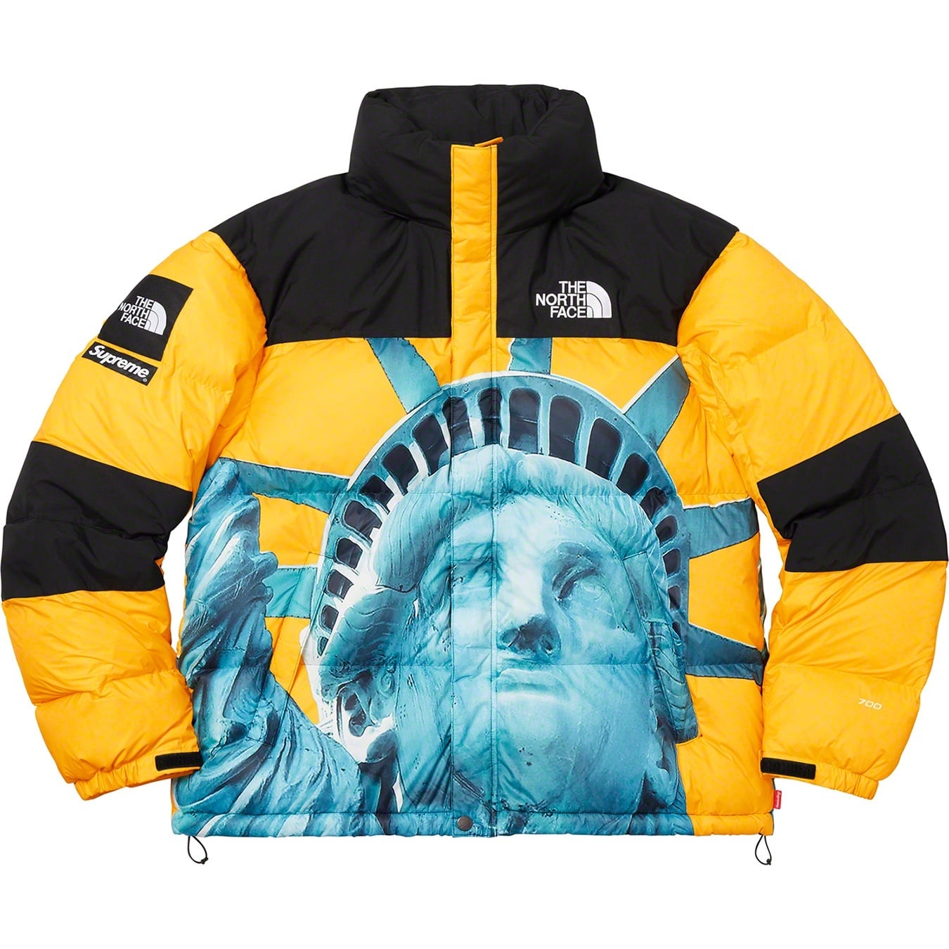 Supreme®/The North Face® Statue of Liberty Baltoro Jacket view 4